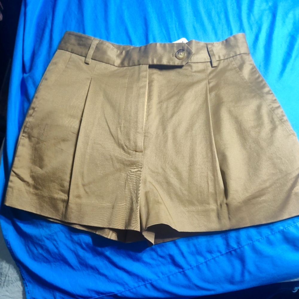 Timo Weiland Size 6 Brown Shorts Vintage